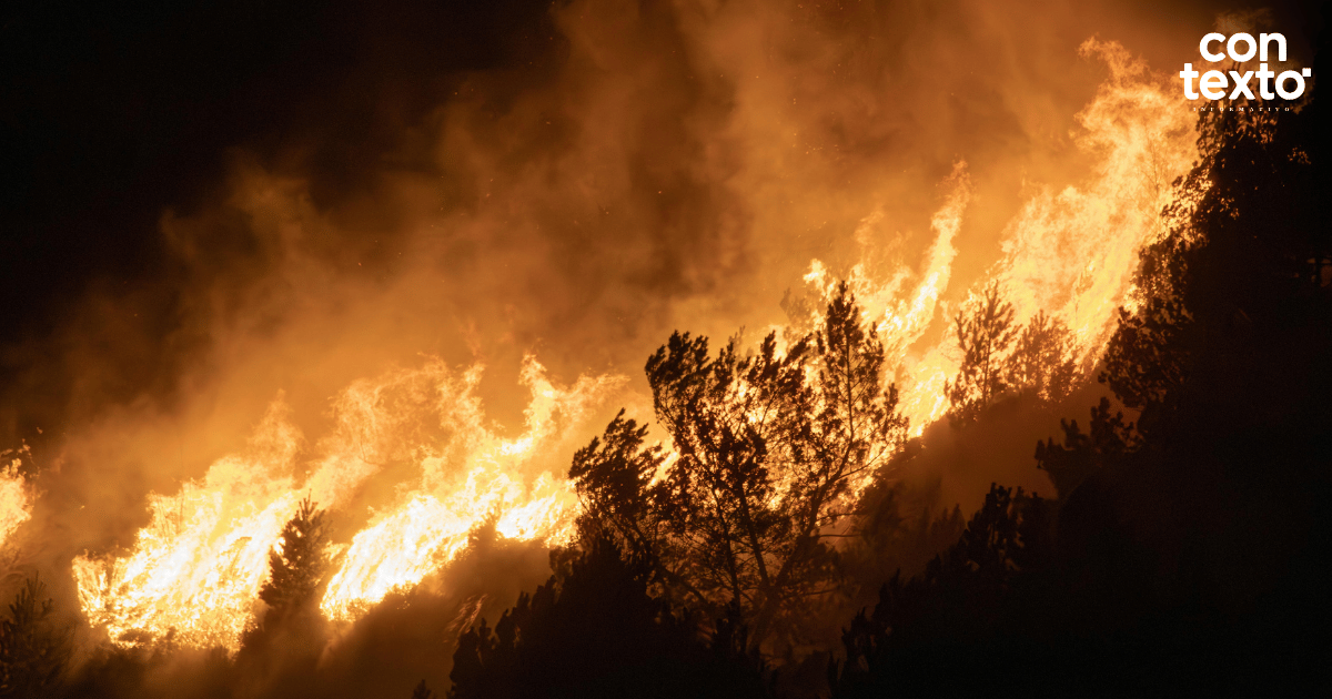 Incendios forestales en Francia obligan a evacuar a más de 110 mil personas